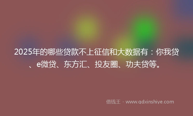 2025年的哪些贷款不上征信和大数据有：你我贷、e微贷、东方汇、投友圈、功夫贷等。