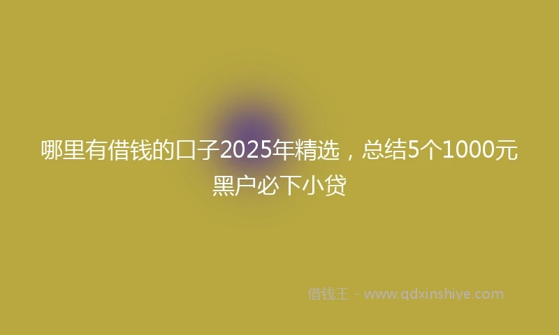 哪里有借钱的口子2025年精选，总结5个1000元黑户必下小贷