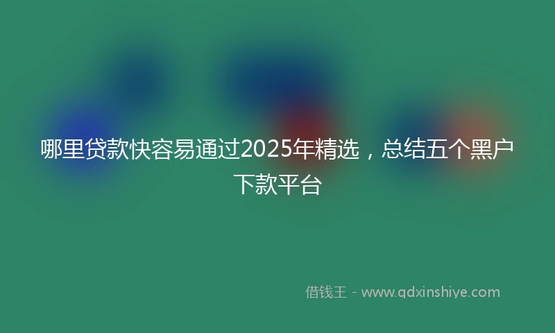 哪里贷款快容易通过2025年精选，总结五个黑户下款平台