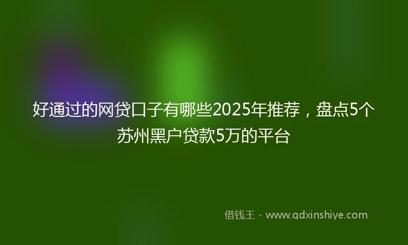 好通过的网贷口子有哪些2025年推荐，盘点5个苏州黑户贷款5万的平台
