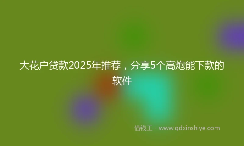 大花户贷款2025年推荐，分享5个高炮能下款的软件