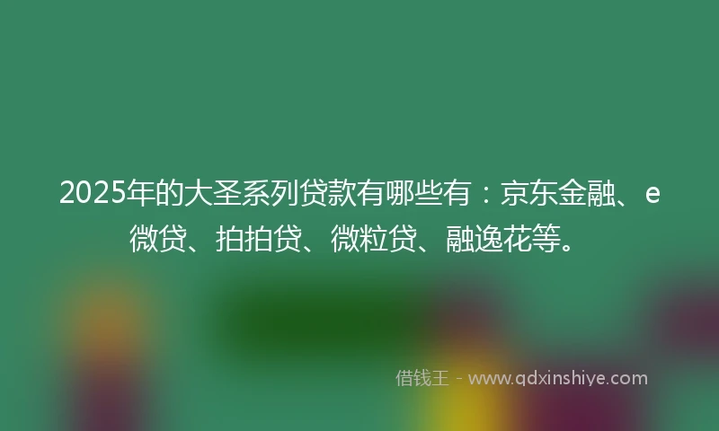 2025年的大圣系列贷款有哪些有：京东金融、e微贷、拍拍贷、微粒贷、融逸花等。