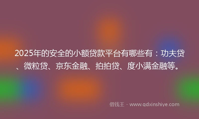 2025年的安全的小额贷款平台有哪些有：功夫贷、微粒贷、京东金融、拍拍贷、度小满金融等。