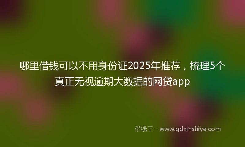 哪里借钱可以不用身份证2025年推荐，梳理5个真正无视逾期大数据的网贷app