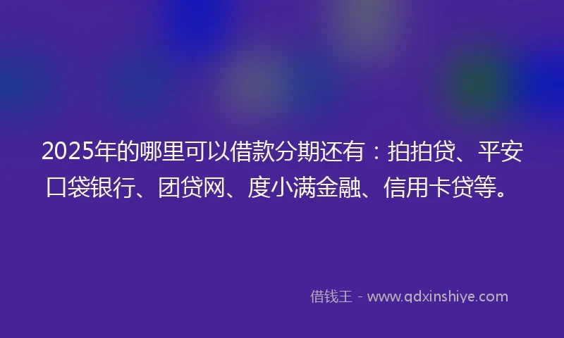 2025年的哪里可以借款分期还有：拍拍贷、平安口袋银行、团贷网、度小满金融、信用卡贷等。