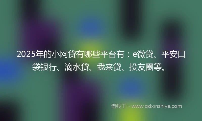 2025年的小网贷有哪些平台有：e微贷、平安口袋银行、滴水贷、我来贷、投友圈等。