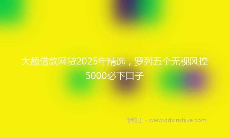 大额借款网贷2025年精选，罗列五个无视风控5000必下口子