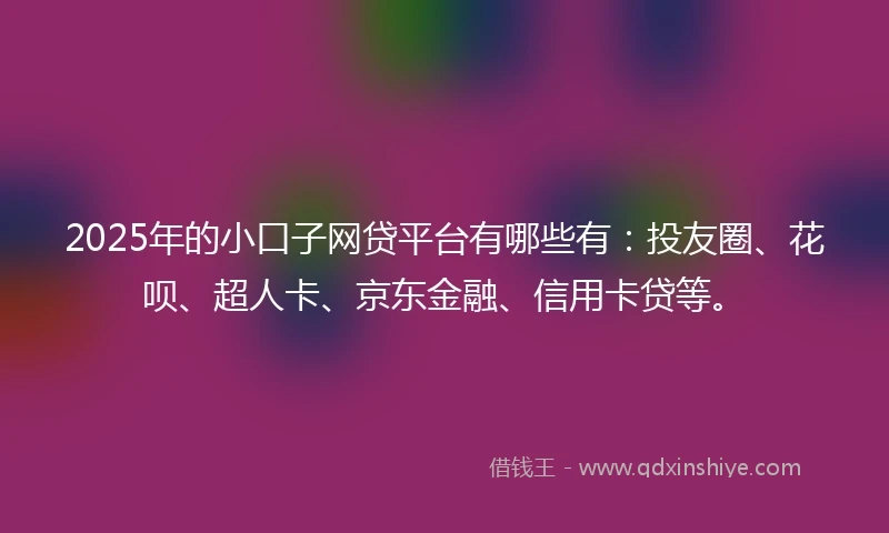 2025年的小口子网贷平台有哪些有：投友圈、花呗、超人卡、京东金融、信用卡贷等。