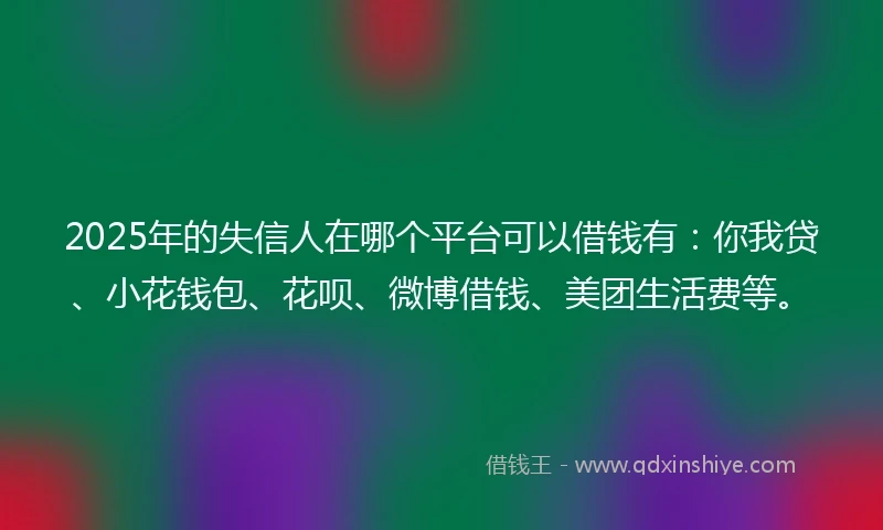 2025年的失信人在哪个平台可以借钱有：你我贷、小花钱包、花呗、微博借钱、美团生活费等。