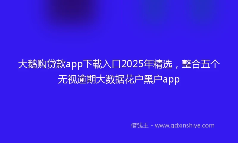 大鹅购贷款app下载入口2025年精选，整合五个无视逾期大数据花户黑户app
