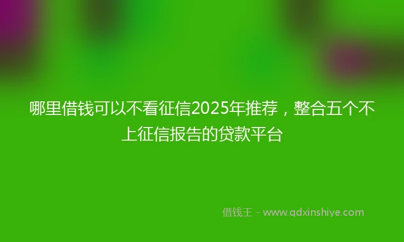 哪里借钱可以不看征信2025年推荐，整合五个不上征信报告的贷款平台