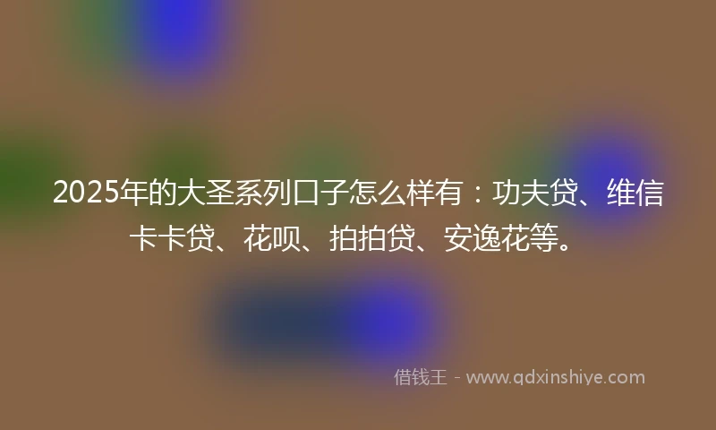 2025年的大圣系列口子怎么样有：功夫贷、维信卡卡贷、花呗、拍拍贷、安逸花等。