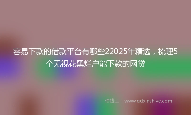 容易下款的借款平台有哪些22025年精选,梳理5个无视花黑烂户能下款的网贷
