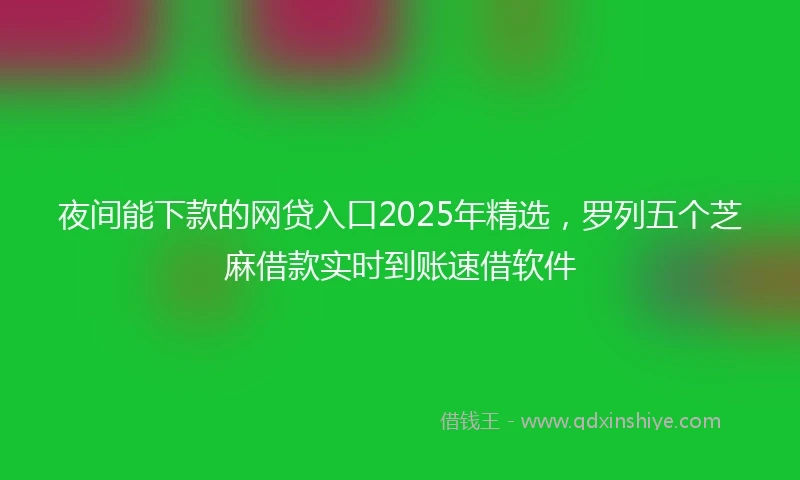 夜间能下款的网贷入口2025年精选，罗列五个芝麻借款实时到账速借软件