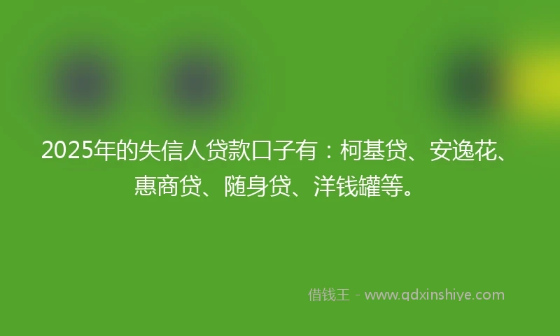 2025年的失信人贷款口子有：柯基贷、安逸花、惠商贷、随身贷、洋钱罐等。