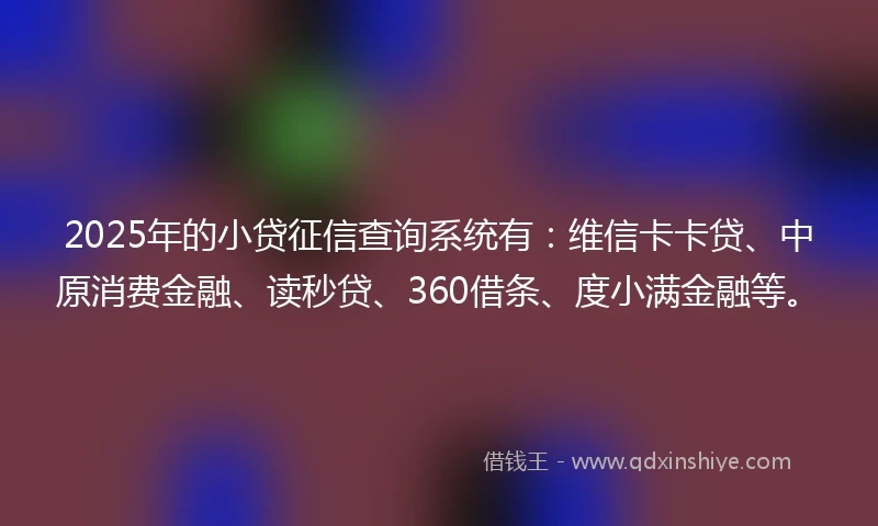 2025年的小贷征信查询系统有：维信卡卡贷、中原消费金融、读秒贷、360借条、度小满金融等。