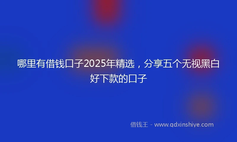哪里有借钱口子2025年精选，分享五个无视黑白好下款的口子