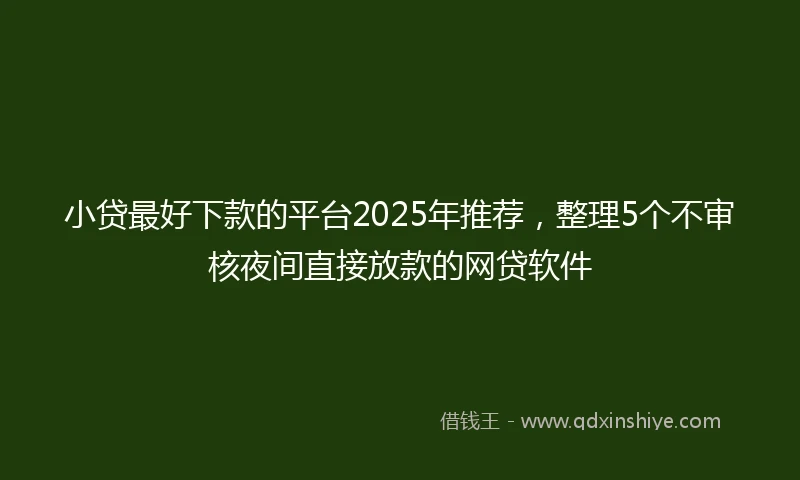 小贷最好下款的平台2025年推荐，整理5个不审核夜间直接放款的网贷软件