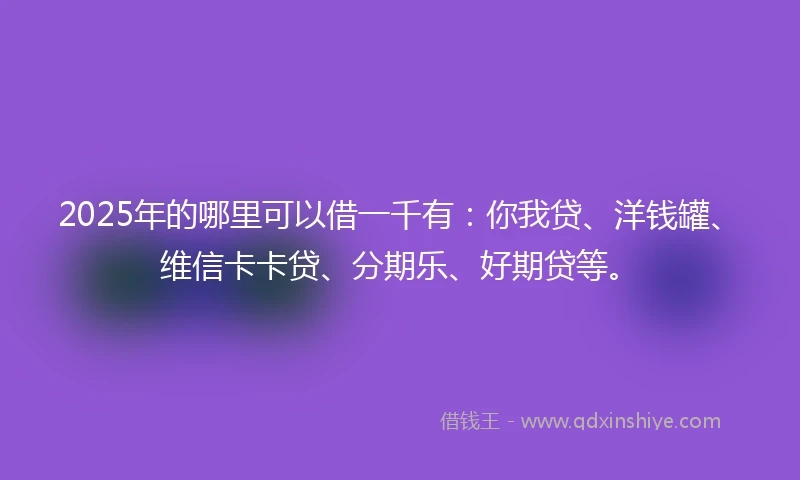 2025年的哪里可以借一千有：你我贷、洋钱罐、维信卡卡贷、分期乐、好期贷等。
