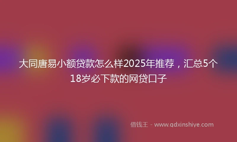 大同唐易小额贷款怎么样2025年推荐，汇总5个18岁必下款的网贷口子