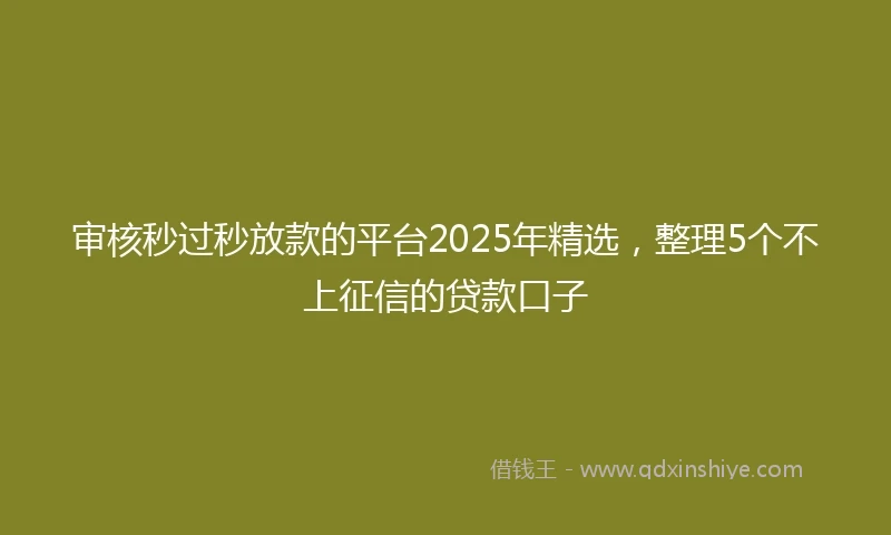 审核秒过秒放款的平台2025年精选，整理5个不上征信的贷款口子