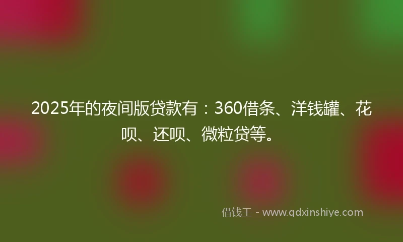2025年的夜间版贷款有：360借条、洋钱罐、花呗、还呗、微粒贷等。