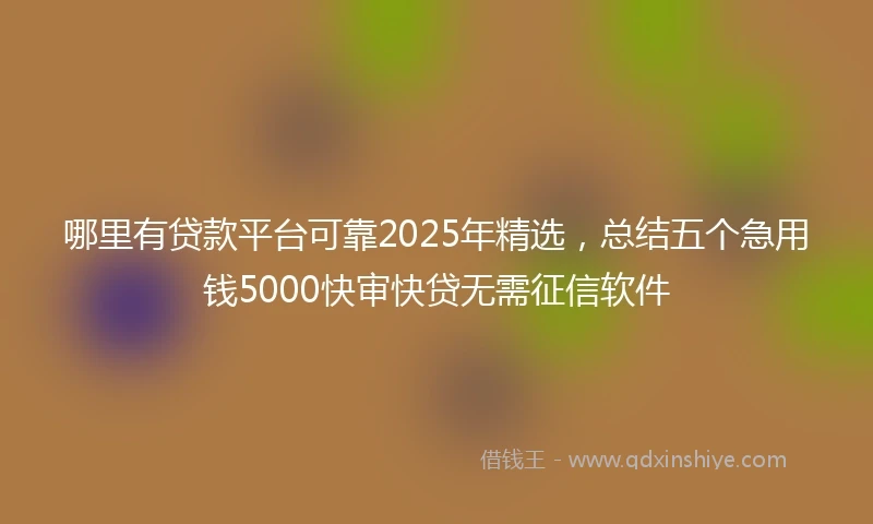 哪里有贷款平台可靠2025年精选，总结五个急用钱5000快审快贷无需征信软件