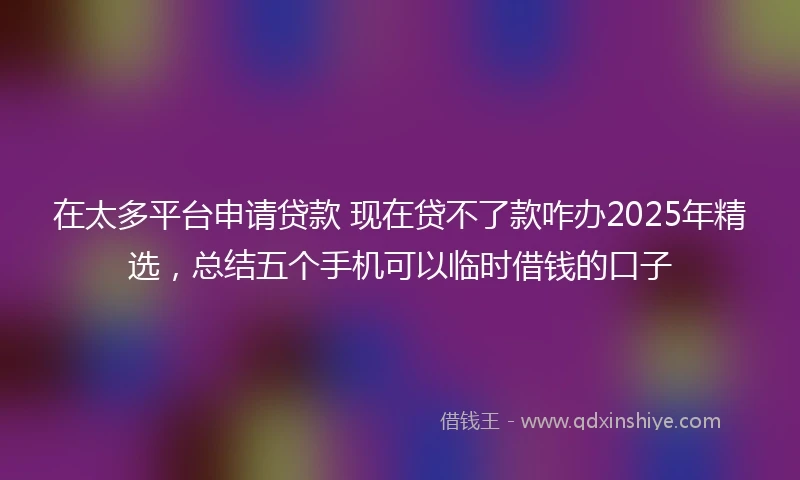 在太多平台申请贷款 现在贷不了款咋办2025年精选，总结五个手机可以临时借钱的口子