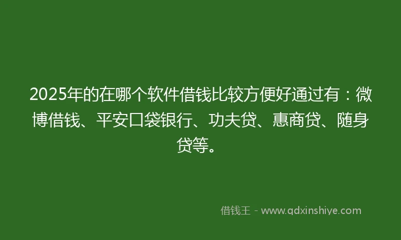 2025年的在哪个软件借钱比较方便好通过有：微博借钱、平安口袋银行、功夫贷、惠商贷、随身贷等。
