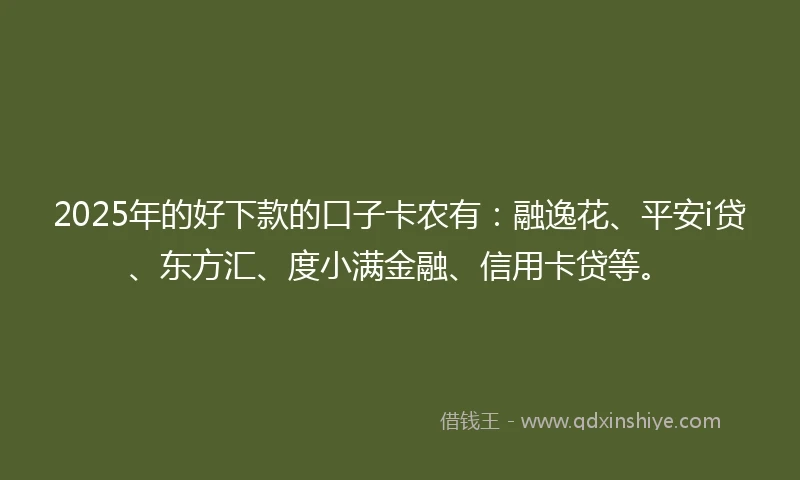 2025年的好下款的口子卡农有：融逸花、平安i贷、东方汇、度小满金融、信用卡贷等。