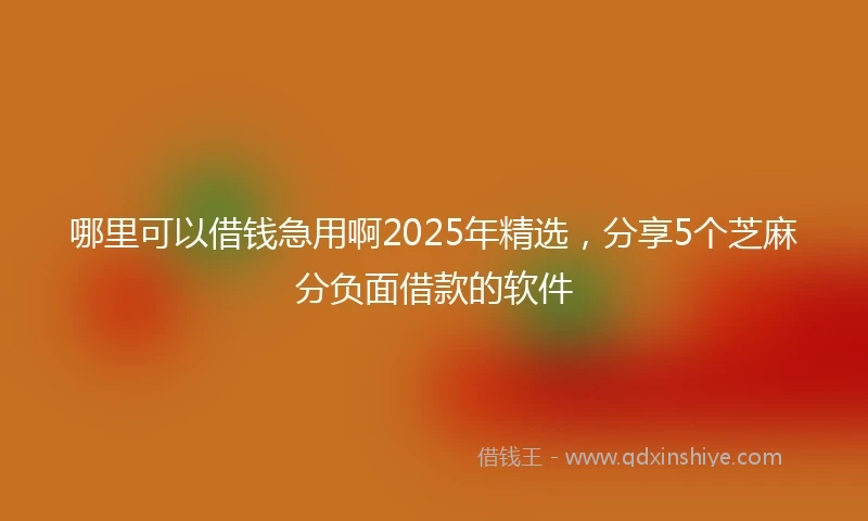 哪里可以借钱急用啊2025年精选，分享5个芝麻分负面借款的软件