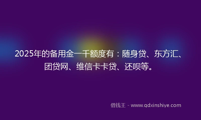 2025年的备用金一千额度有：随身贷、东方汇、团贷网、维信卡卡贷、还呗等。