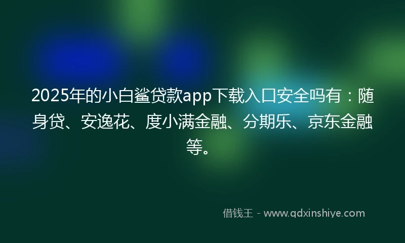 2025年的小白鲨贷款app下载入口安全吗有：随身贷、安逸花、度小满金融、分期乐、京东金融等。