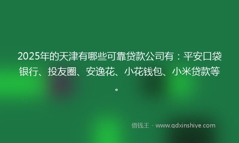 2025年的天津有哪些可靠贷款公司有:平安口袋银行、投友圈、安逸花、小花钱包、小米贷款等。