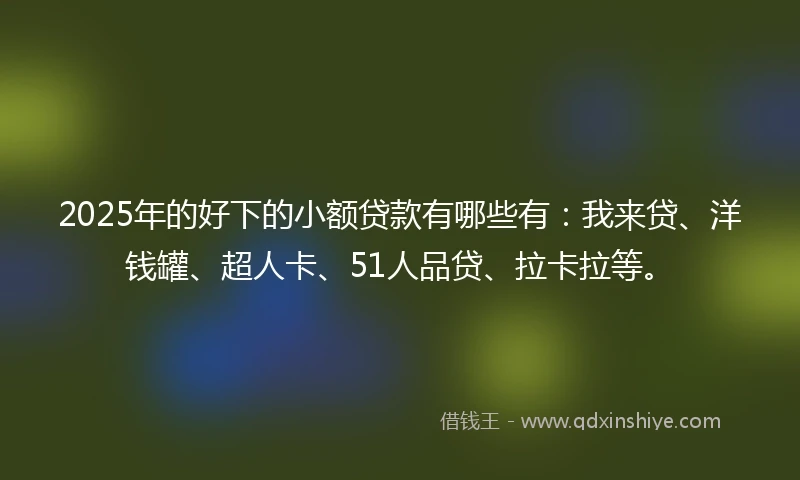 2025年的好下的小额贷款有哪些有：我来贷、洋钱罐、超人卡、51人品贷、拉卡拉等。