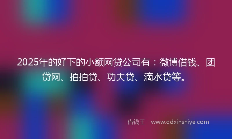2025年的好下的小额网贷公司有：微博借钱、团贷网、拍拍贷、功夫贷、滴水贷等。