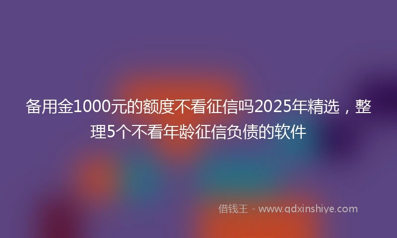备用金1000元的额度不看征信吗2025年精选，整理5个不看年龄征信负债的软件