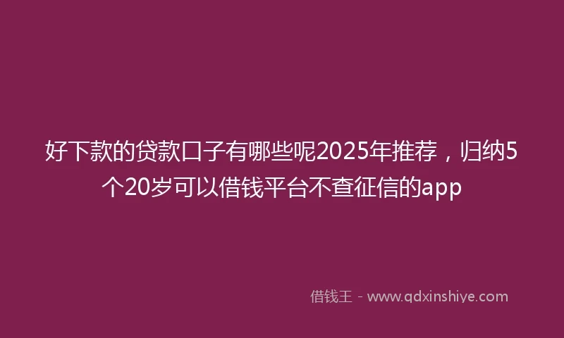 好下款的贷款口子有哪些呢2025年推荐，归纳5个20岁可以借钱平台不查征信的app