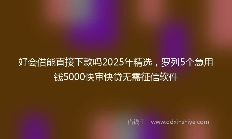 好会借能直接下款吗2025年精选，罗列5个急用钱5000快审快贷无需征信软件