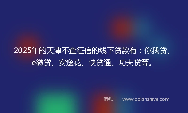 2025年的天津不查征信的线下贷款有：你我贷、e微贷、安逸花、快贷通、功夫贷等。