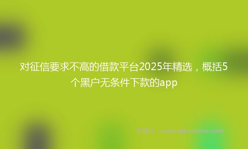 对征信要求不高的借款平台2025年精选，概括5个黑户无条件下款的app