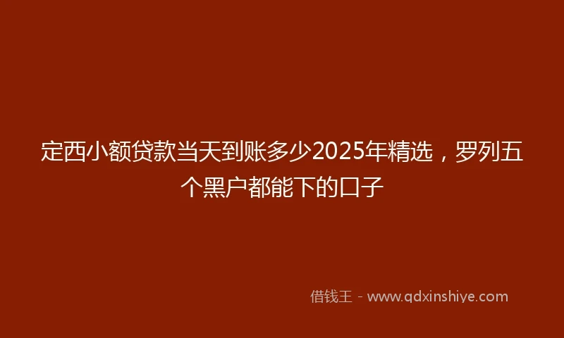 定西小额贷款当天到账多少2025年精选，罗列五个黑户都能下的口子