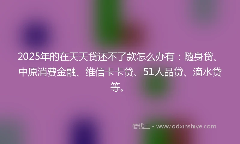 2025年的在天天贷还不了款怎么办有：随身贷、中原消费金融、维信卡卡贷、51人品贷、滴水贷等。