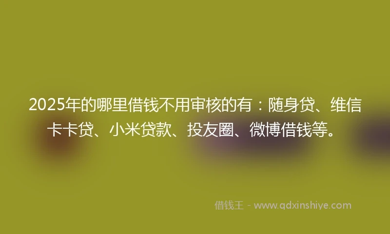 2025年的哪里借钱不用审核的有：随身贷、维信卡卡贷、小米贷款、投友圈、微博借钱等。