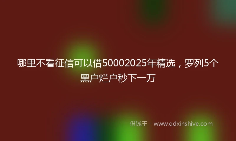 哪里不看征信可以借50002025年精选，罗列5个黑户烂户秒下一万