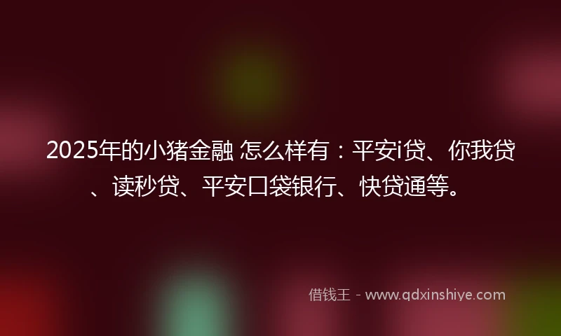 2025年的小猪金融 怎么样有：平安i贷、你我贷、读秒贷、平安口袋银行、快贷通等。