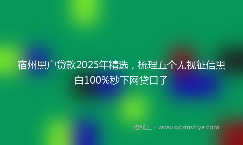 宿州黑户贷款2025年精选，梳理五个无视征信黑白100%秒下网贷口子