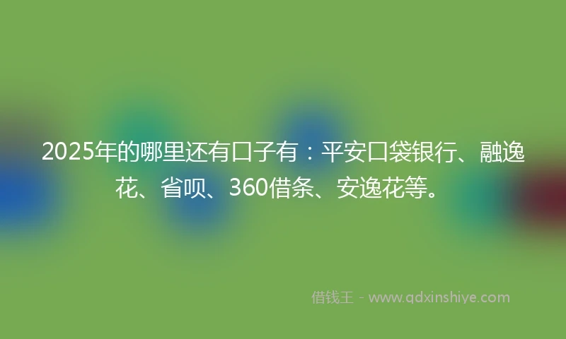 2025年的哪里还有口子有：平安口袋银行、融逸花、省呗、360借条、安逸花等。