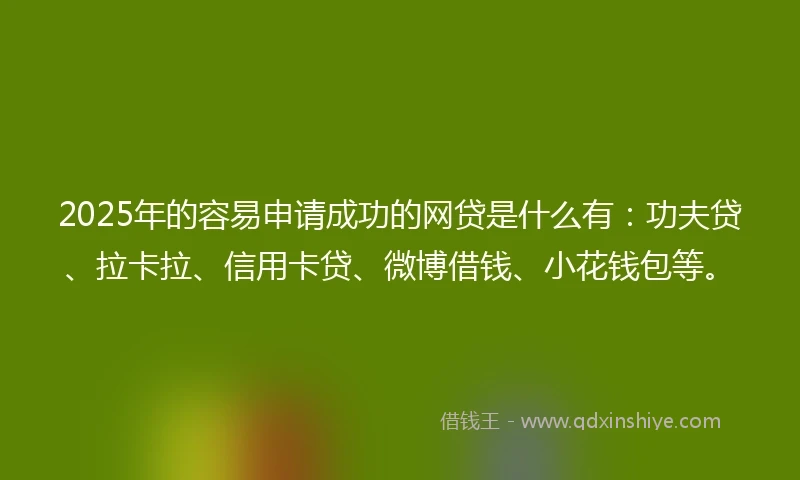 2025年的容易申请成功的网贷是什么有：功夫贷、拉卡拉、信用卡贷、微博借钱、小花钱包等。