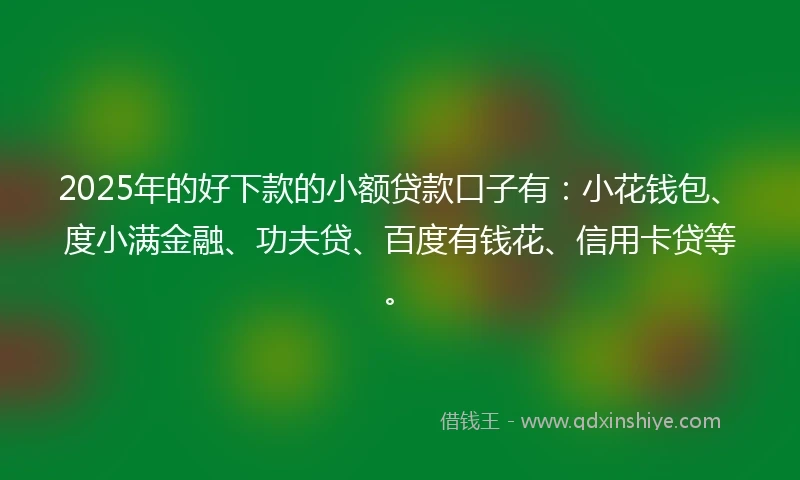 2025年的好下款的小额贷款口子有：小花钱包、度小满金融、功夫贷、百度有钱花、信用卡贷等。